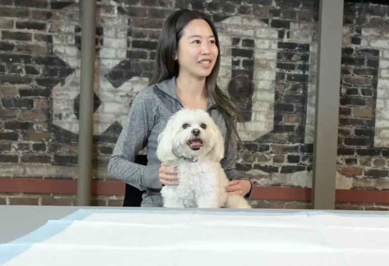 Lee holding her bichon